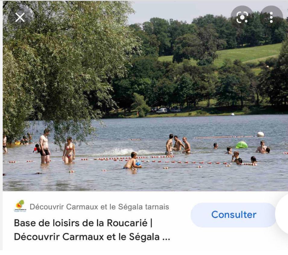 Le Gite De Las Peyros Mirandol-Bourgnounac Exterior foto